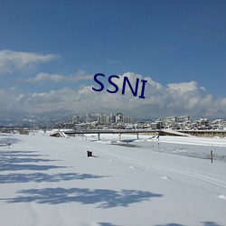 SSNI