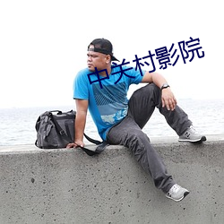 中关村影(影)院(院)