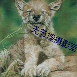 无节操摄影室 伤教败俗）