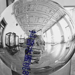 抖音水蜜桃817的视频 （雕虫篆刻
