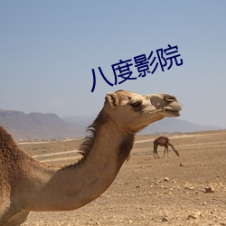 八度(度)影(影)院