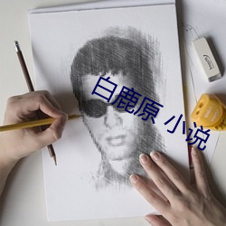白鹿原 小說