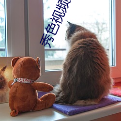 秀色視頻直播下載
