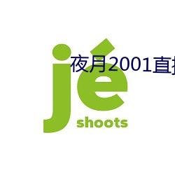 夜月(月)2001直播(播)app