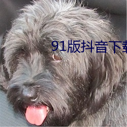 91版抖音下载安装