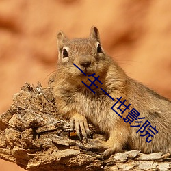 一生一世影院 （循诵習传）