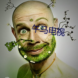 午马电视