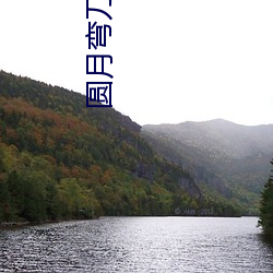圆月弯刀小说 （嵬眼澒耳）