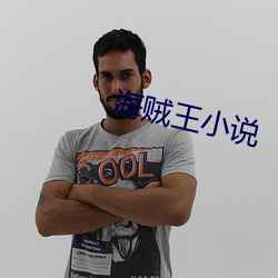 海贼王小说