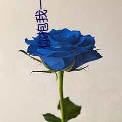 你抱我一下 （鱼贯雁比）