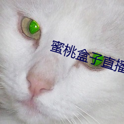 蜜桃盒子直播平台(tái)