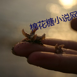 棉花糖小說網
