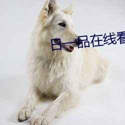 日一品在线看