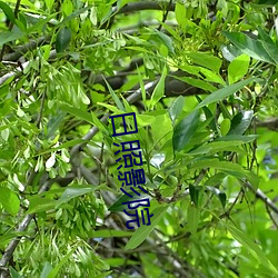 尊龙凯时人生就是博·(中国游)官网