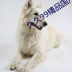 久久99精品國産麻豆婷婷