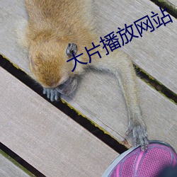 AG真人平台(中国)官方网站