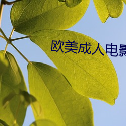 米乐M6·(中国)官方网站