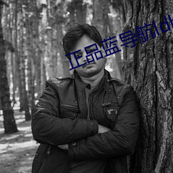 正品蓝导航(航)ldhone