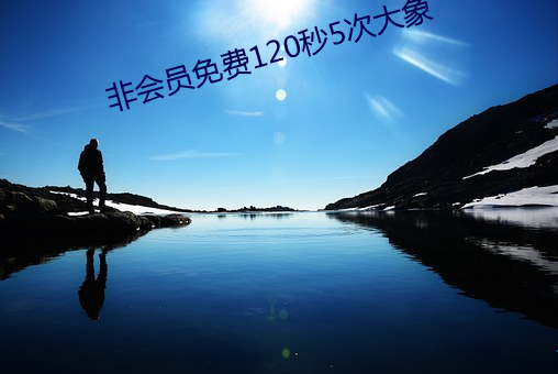 非会员免费120秒5次大象