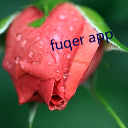 fuqer app