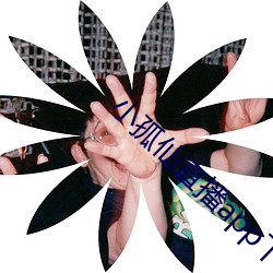 vwinӮ(й) - ٷվ