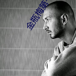 金瓶梅第一集