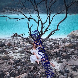 攀枝花電影院