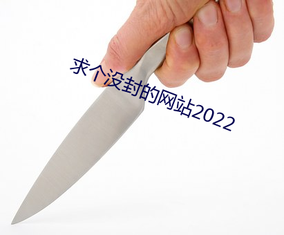 求個沒封的網站2022