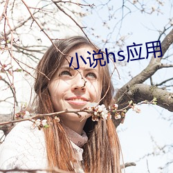 小说hs应用