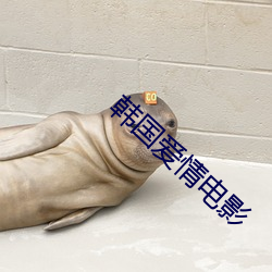 韩国爱情电(電)影(影)