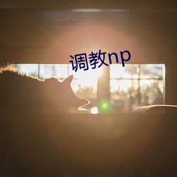 调教np （威凤一羽）