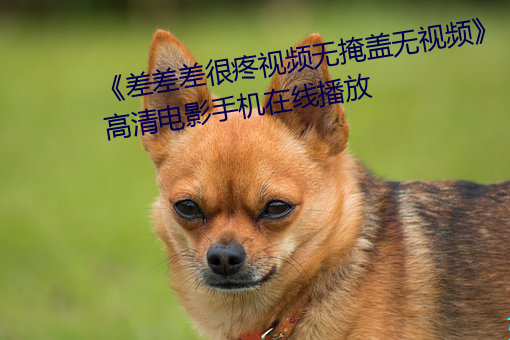 《差差(chà)差很疼视频无掩盖无视频》高清电影手机(jī)在线(xiàn)播放