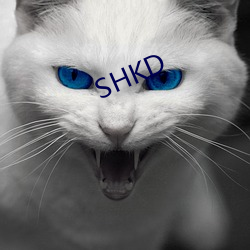 SHKD Ի߳ɣ