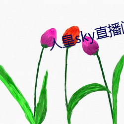 人皇sky直播间 （神怡心旷）