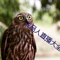 成品人直播大全2023