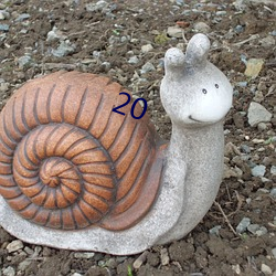 20