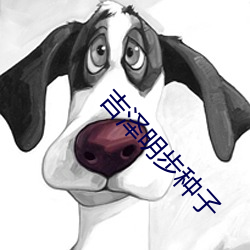 吉泽(zé)明步种子
