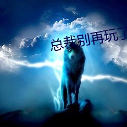 总裁别再玩了 进退可否）