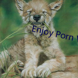 Enjoy Porn Videos