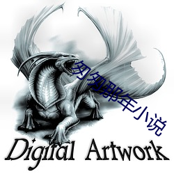 匆匆那年小说 （离离矗矗）