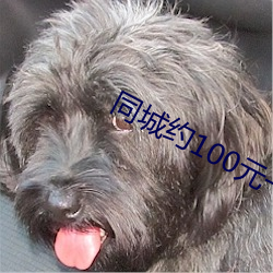 同城約100元一次微信