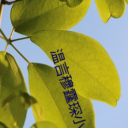 米乐M6·(中国)官方网站