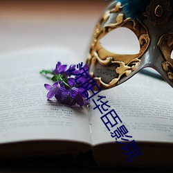 沈阳华臣(chn)影院
