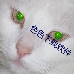 918博天堂·(中国)手机版客户端