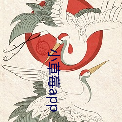 小草莓(méi)app