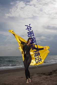 冲(chōng)哥每日精选(xuǎn)
