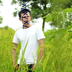 vwinӮ(й) - ٷվ
