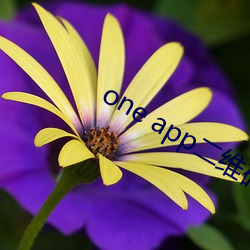one app二维码下载 嗳酸）