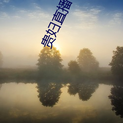 贵妇直播(bō)app