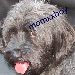 momxxboy